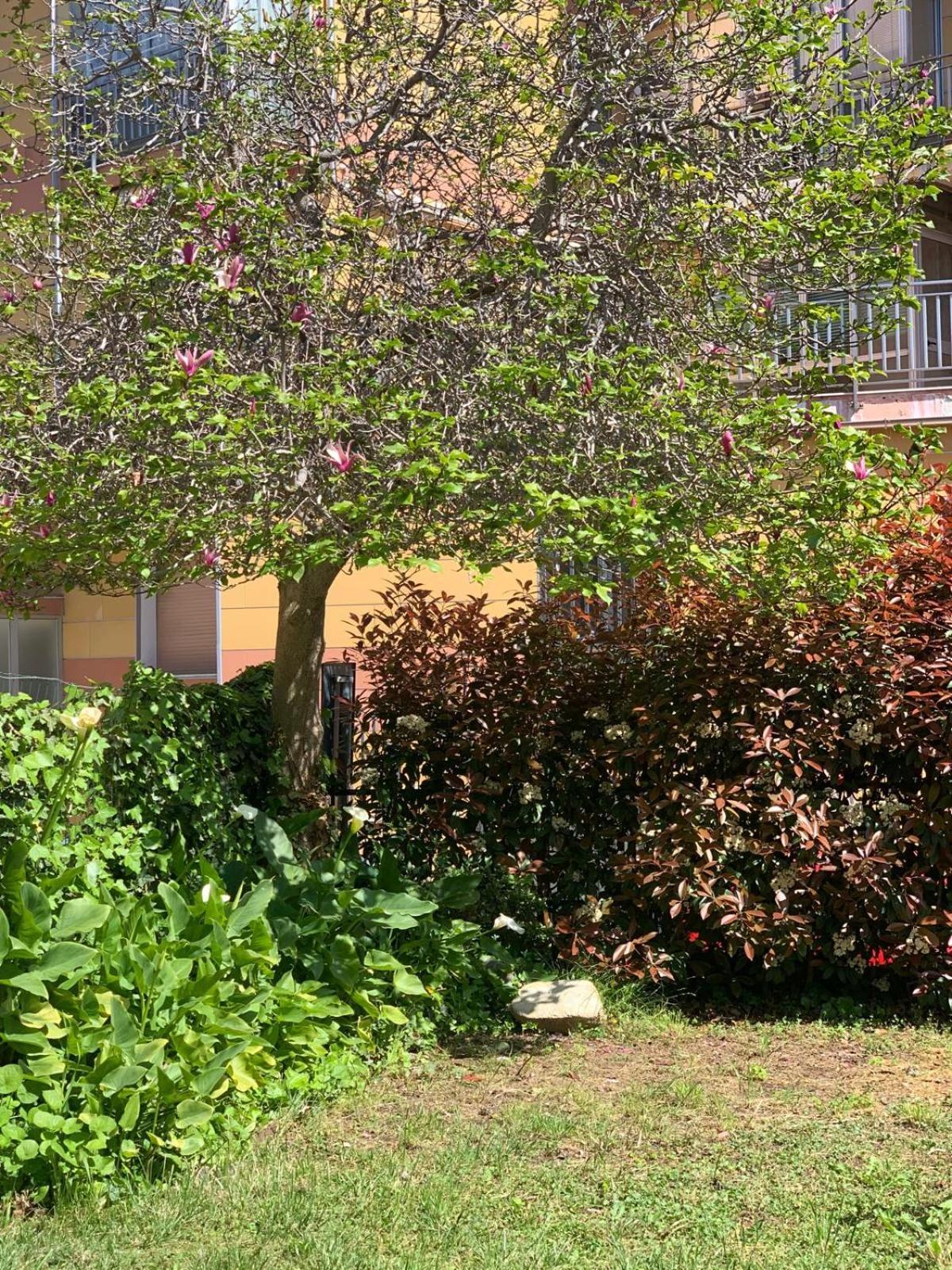 B&B La Magnolia Savona Buitenkant foto